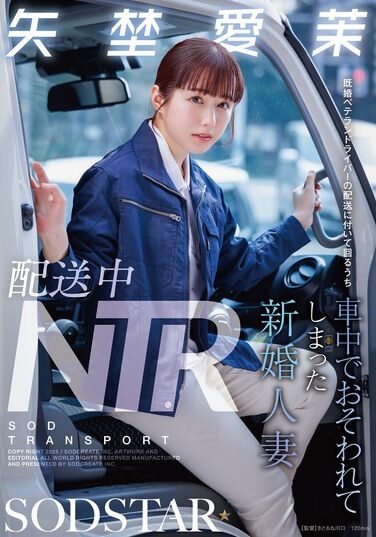 [START-385] NTR During Delivery: A Newly Married Wife Was Attacked In The Car While Accompanying A Married Veteran Driver On A Delivery –